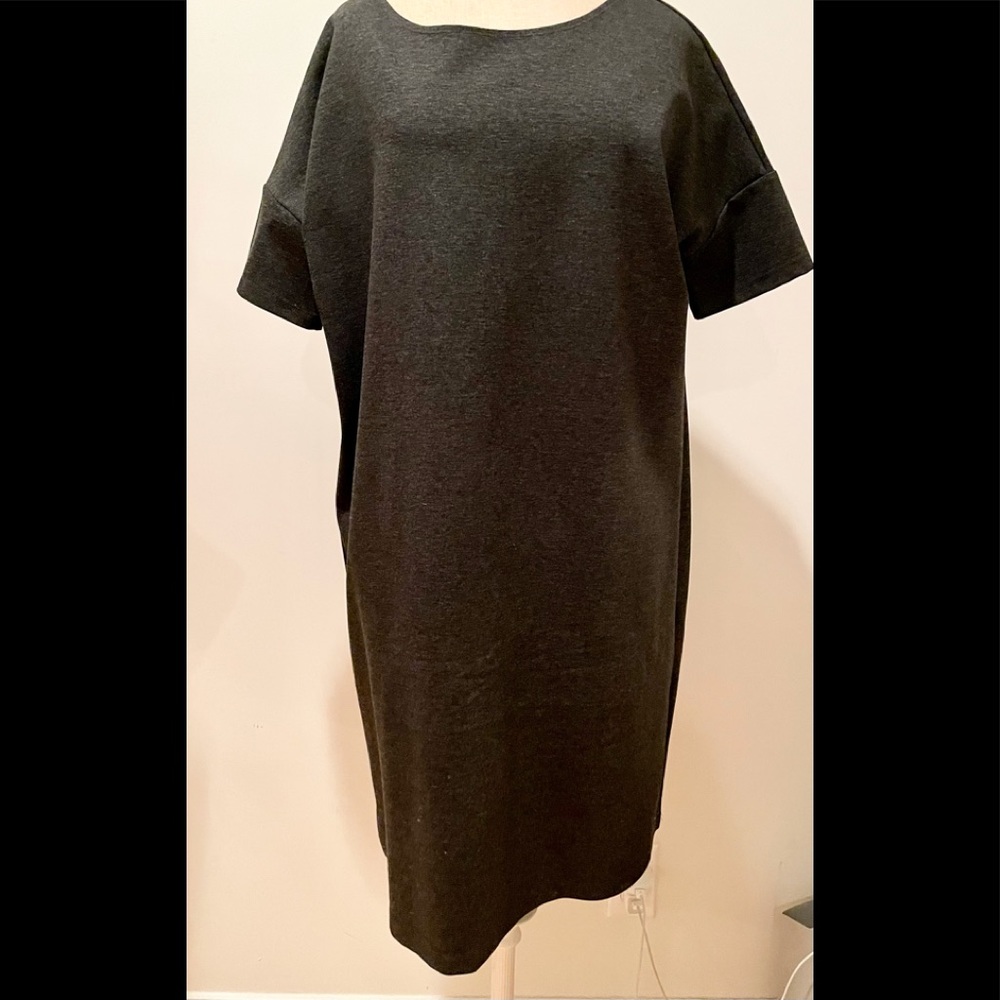 Hatch Maternity Gray Shift Dress